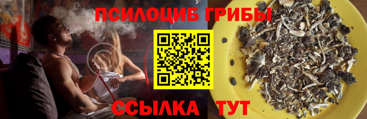 Псилоцибиновые грибы ЛСД  Вход с VPN  Белебей 